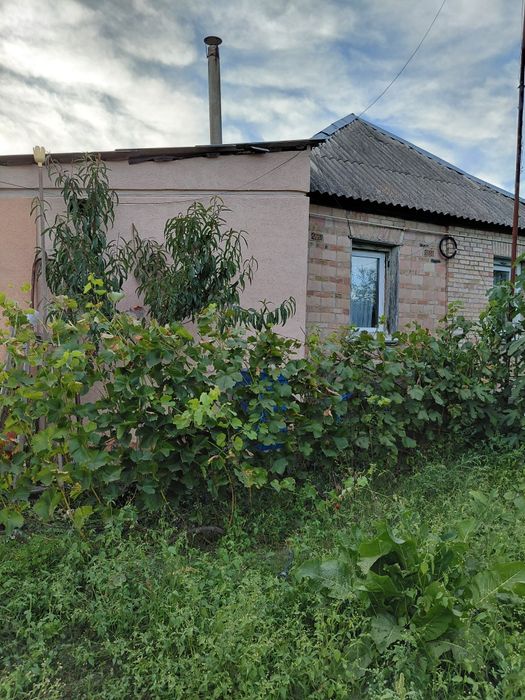 Продам будинок в Боровій