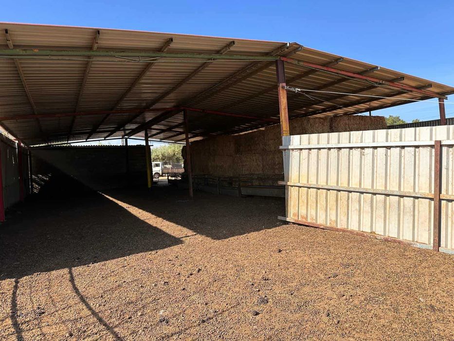 Quinta com 15 hectares