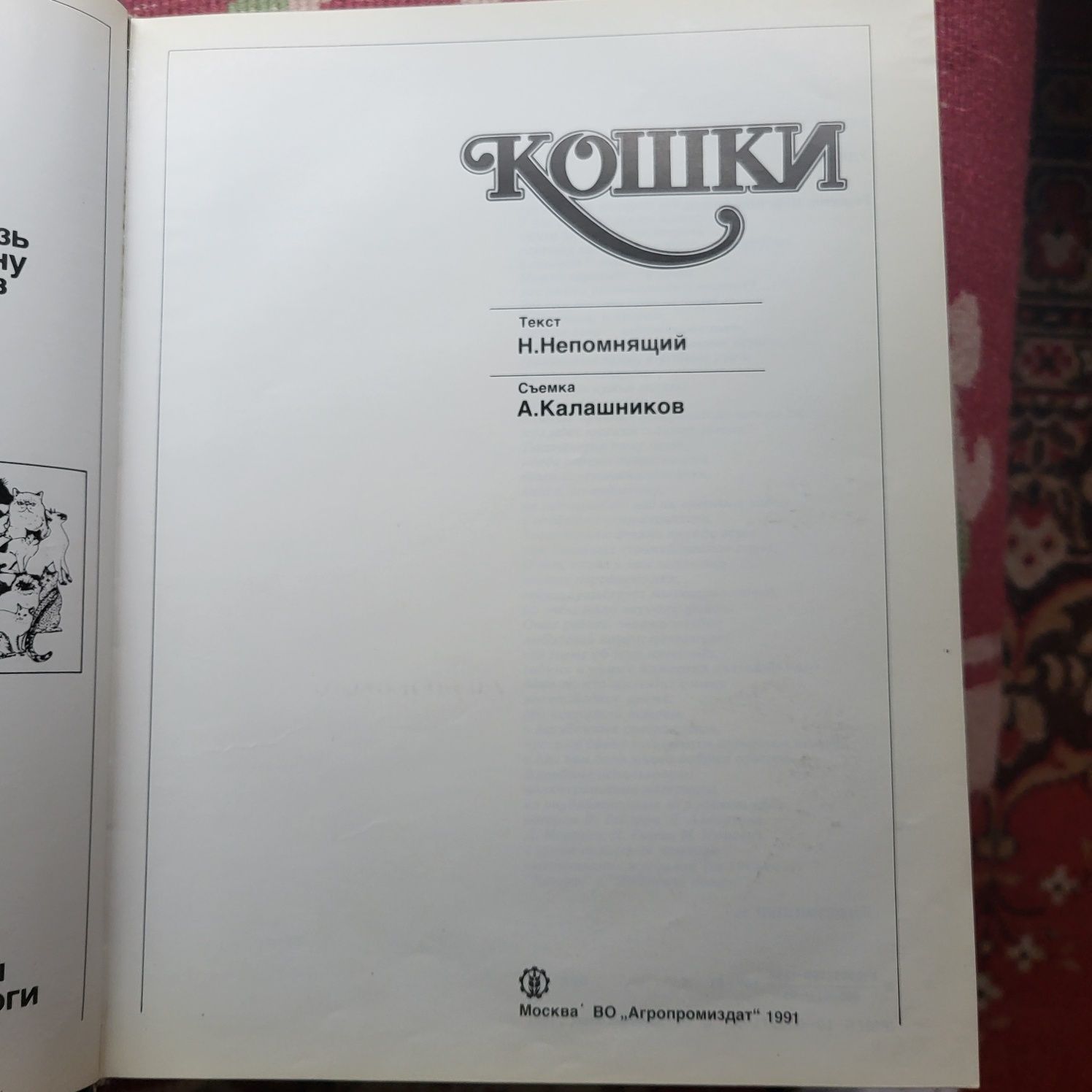 Редкая иллюстрированная книга все о кошках