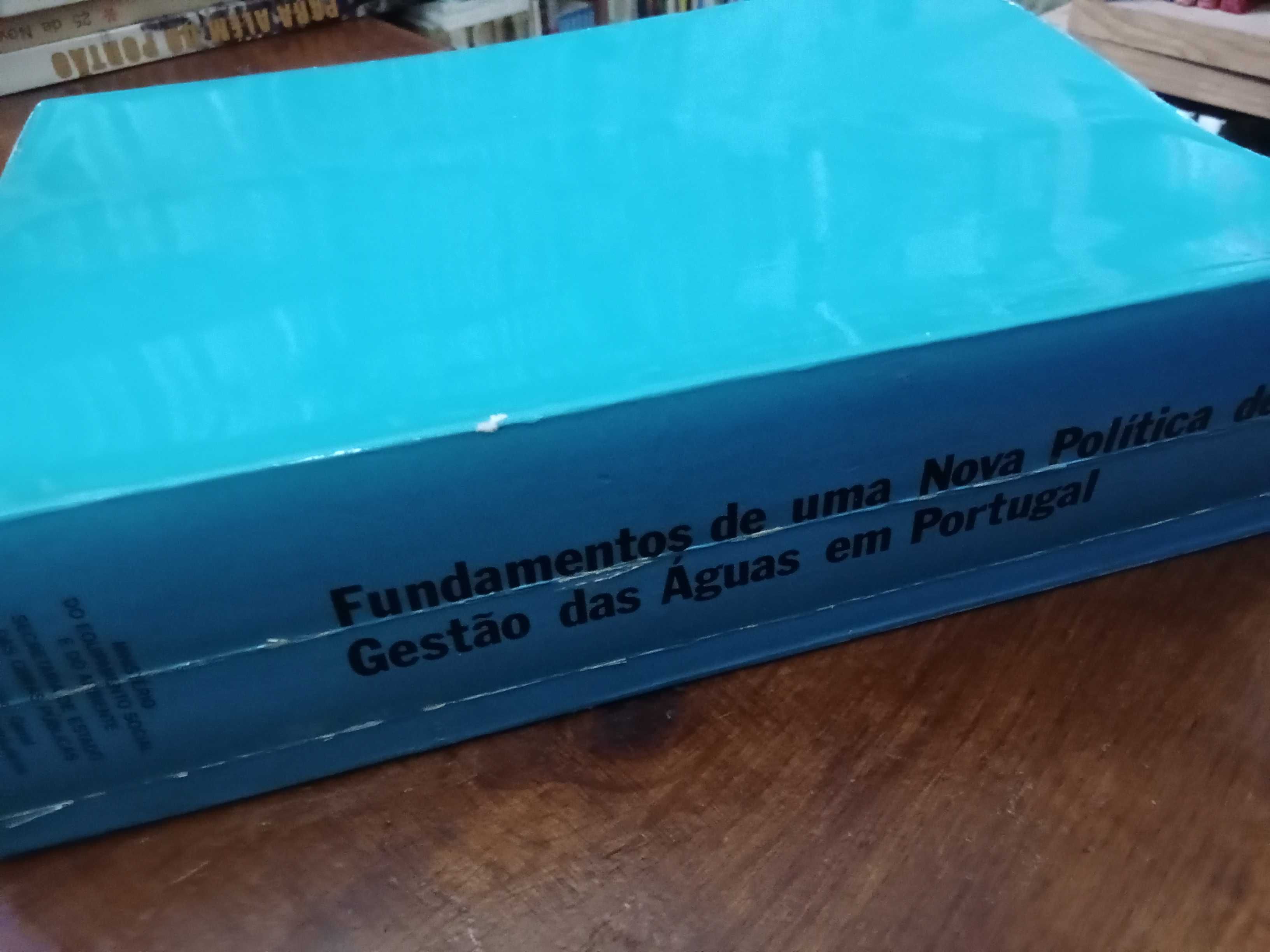 Fundamentos de uma nova política de gestão das Águas em Portugal