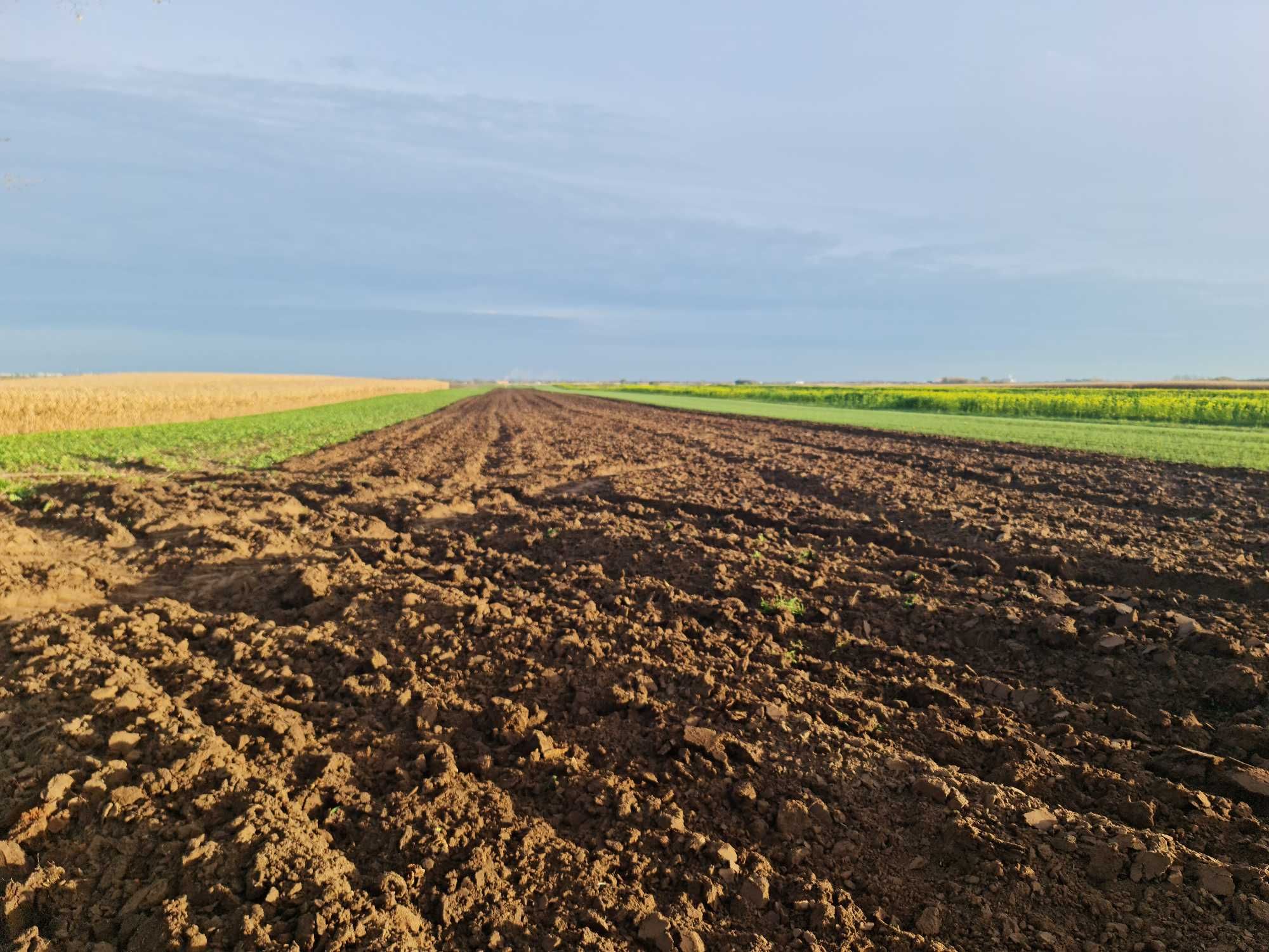 Działka rolna - 0,89 ha, Ostrów, gm. Radymno