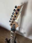 Guitarra RG450DX Personalizada/Customizada