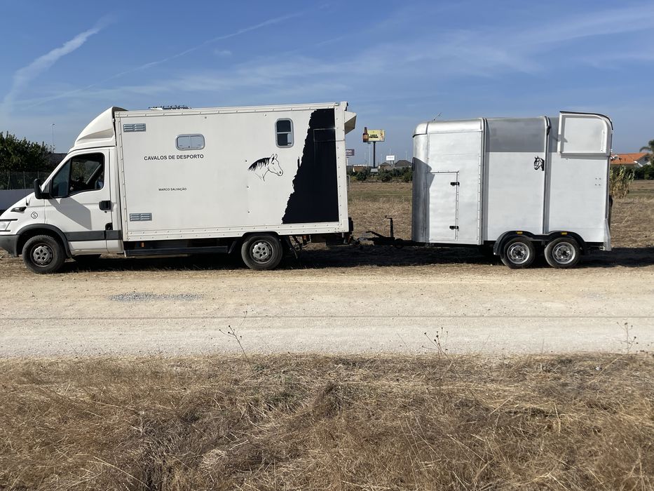 Transporte de cavalos