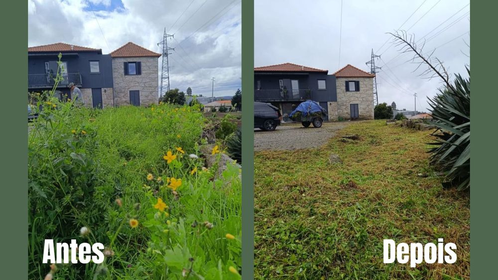 Limpeza de terrenos e jardins