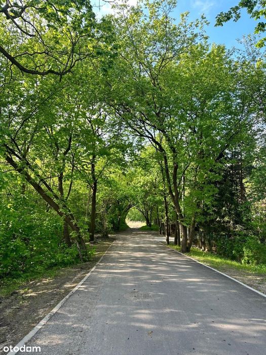 Apartament Park Bagatela | 2 duże tarasy