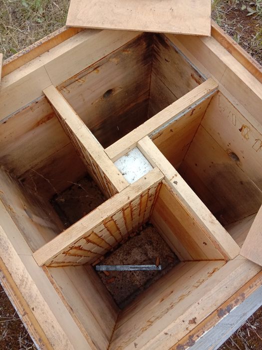 Вулик квадратний