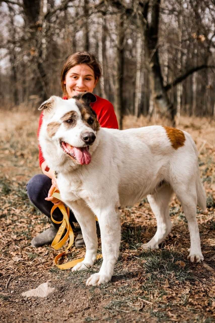 Pokochaj Polarka - najcieplejszą, najkochańszą istotę na świecie!