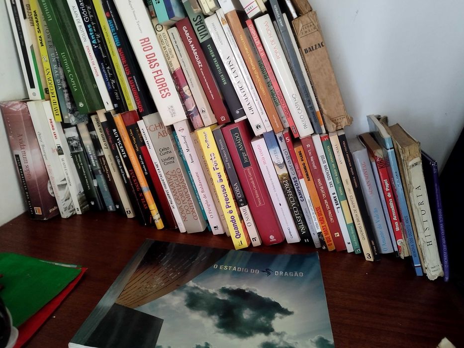Vários Livros novos e usados