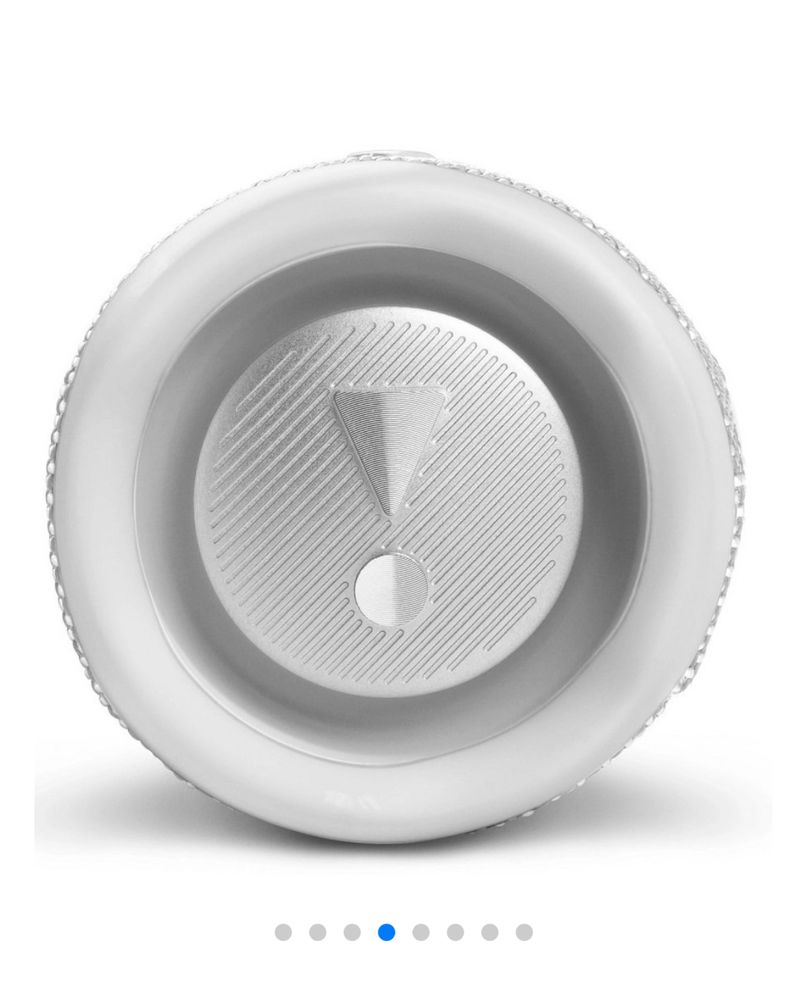 JBL Flip 6.