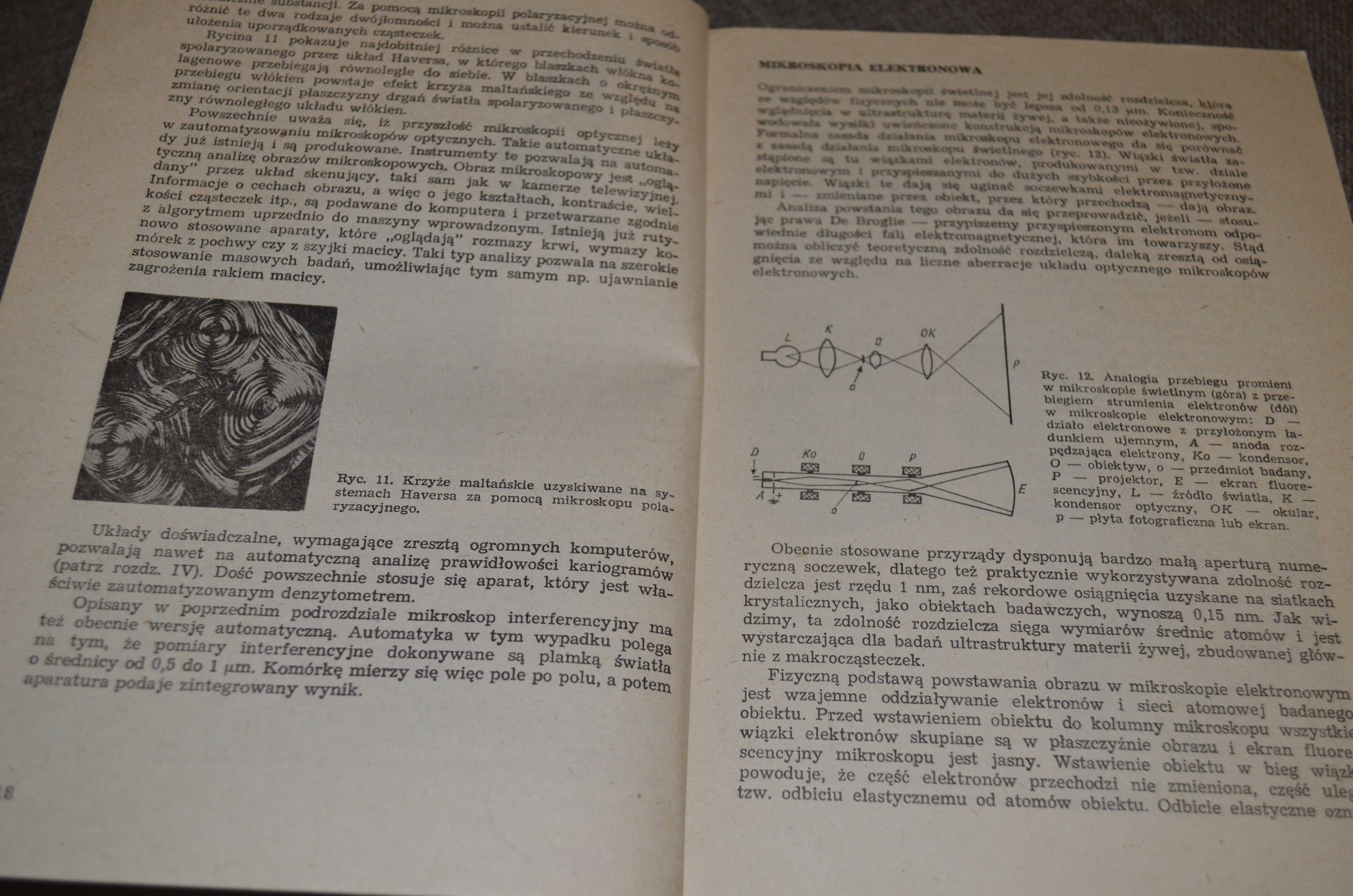 Cytofizjologia podręcznik Ostrowski
