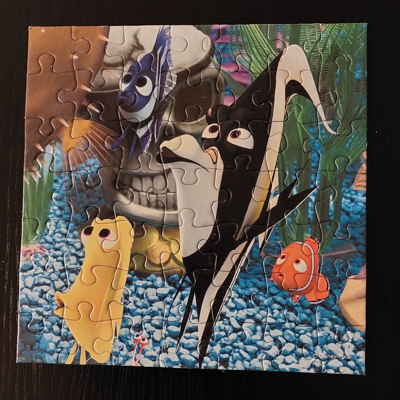 Puzzle Finding Nemo