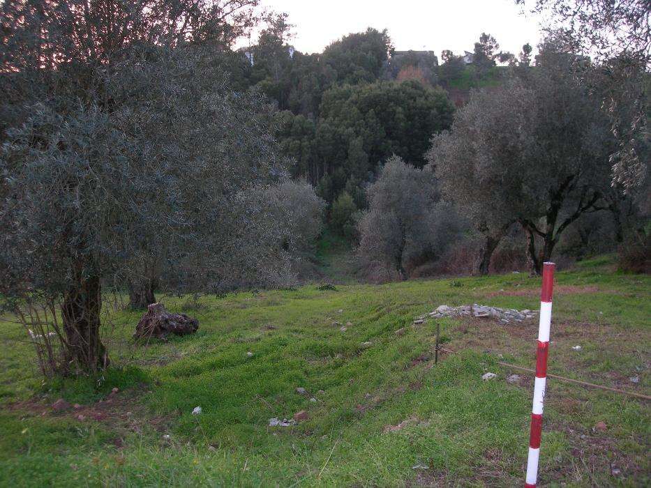 Vendo terreno urbano junto à Solum, Coimbra, para construção.