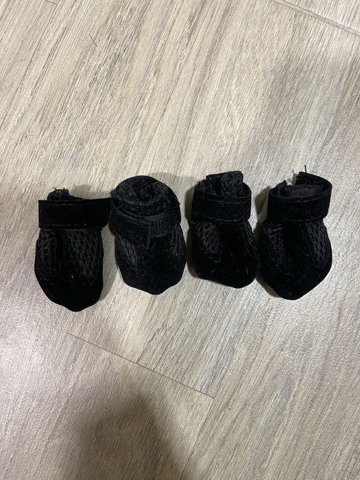 Взуття для собак/котів