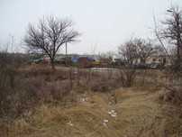 Оренда Укртелеком*, 931 м2, с. Новоселівка, вул. Цегельна, 45