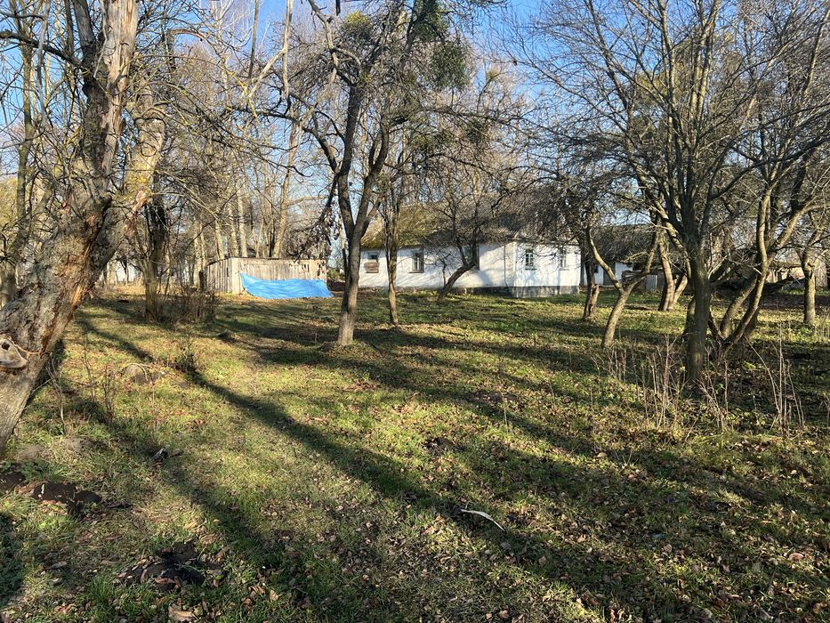 продам Будинок з земельною ділянкою 89сотих