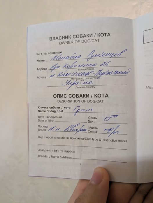 Віддам пса в добрі руки.