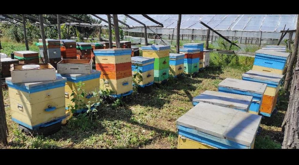 Продам вулики в гарному стані