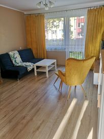 Wynajemę apartament krótkoterminowo