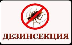 Уничтожение, Травля Тараканов, Клопов, Днепр