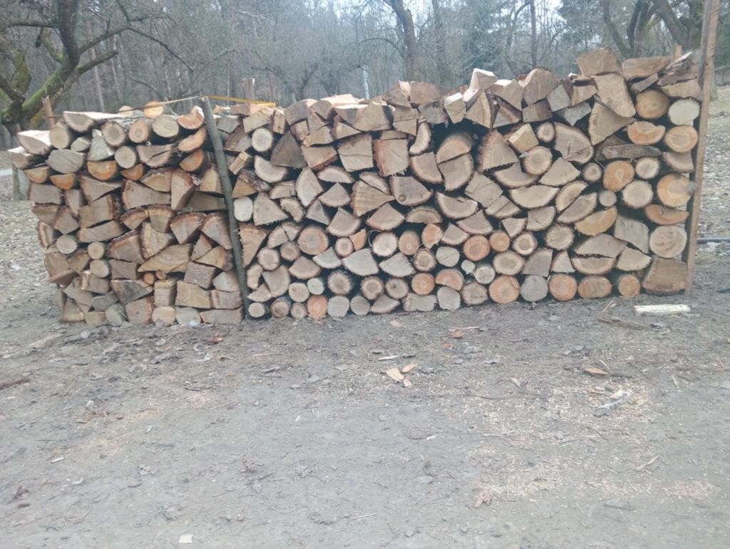 Drzewo grab, czereśnia, dąb