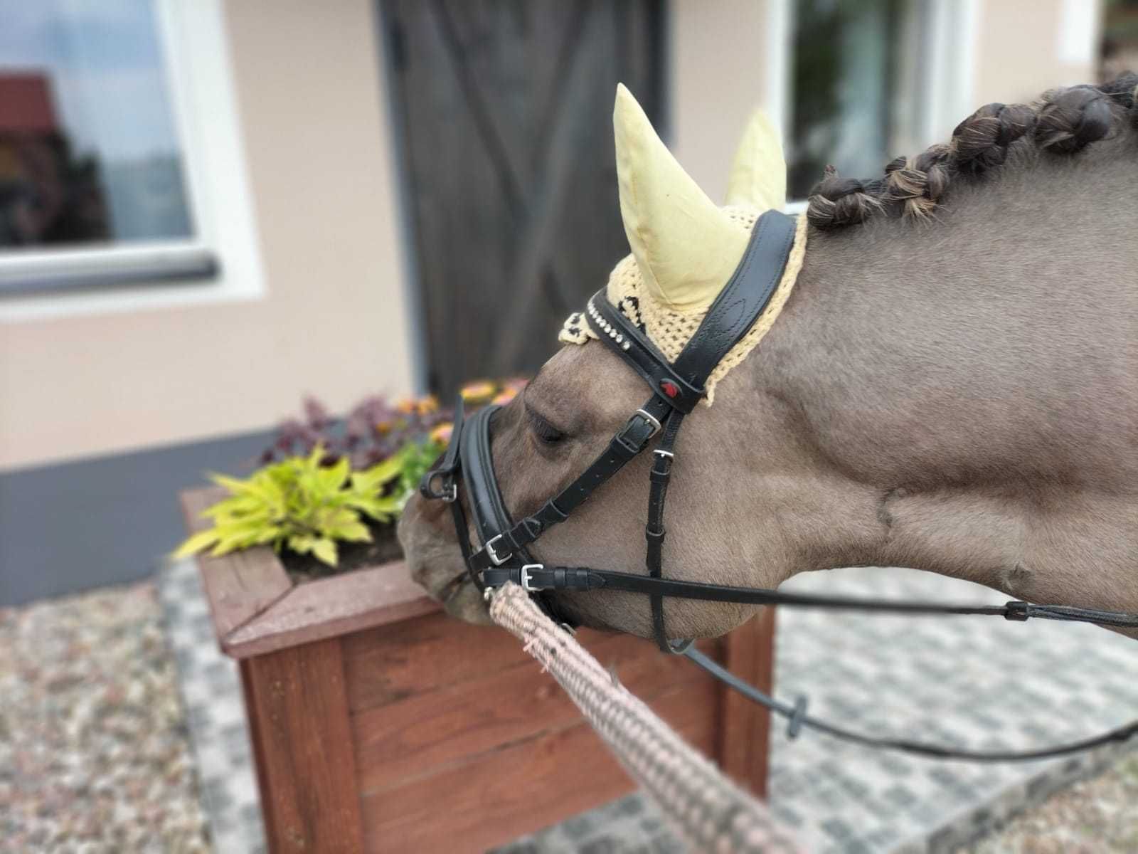 Domek Mazury ZOBACZ!