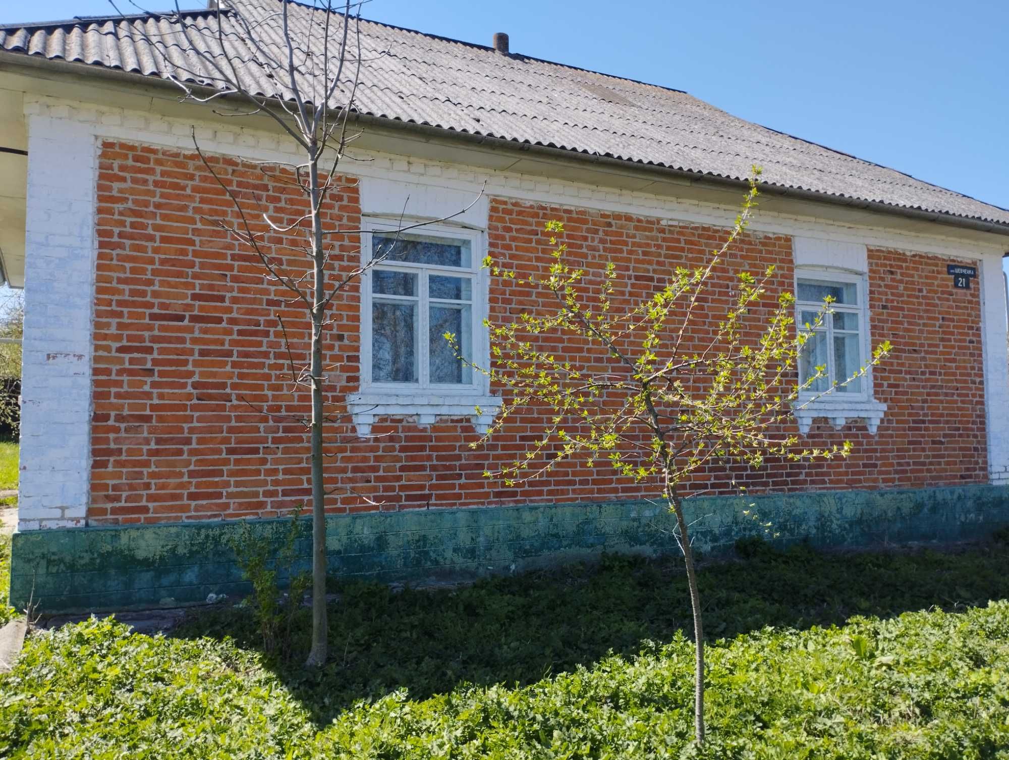 Продам будинок в с. Дашківці