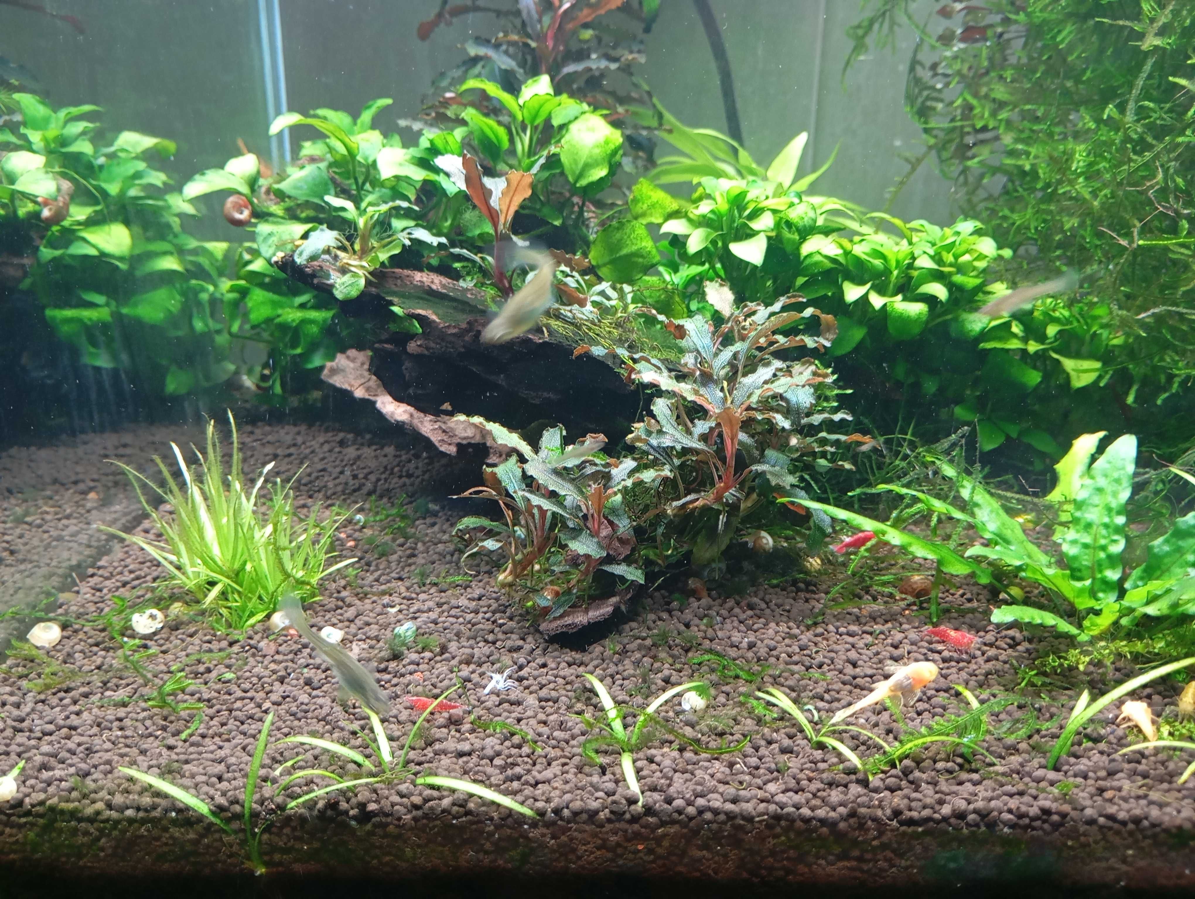 Aquario Cubo Aquatlantis