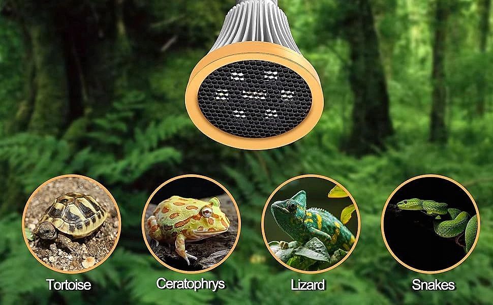Żarówka Ledowa Do Gadów I Płazów, 8508 Terrarium Led Światło Uv 4,2W E