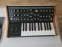 Moog subsequent 25