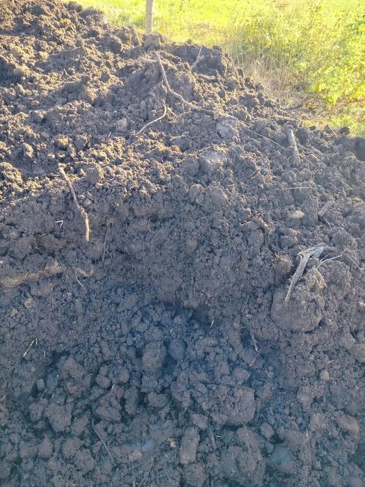 Sprzedam ziemię torfową