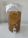 Scoby probiótico - Jun champanhe de kombucha