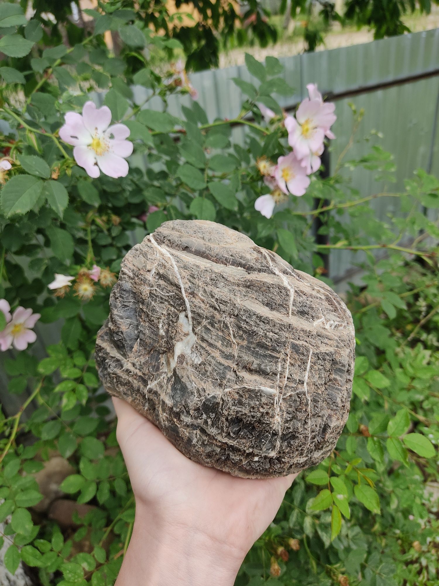 Кремниевый Камень в Аквариум/Террариум