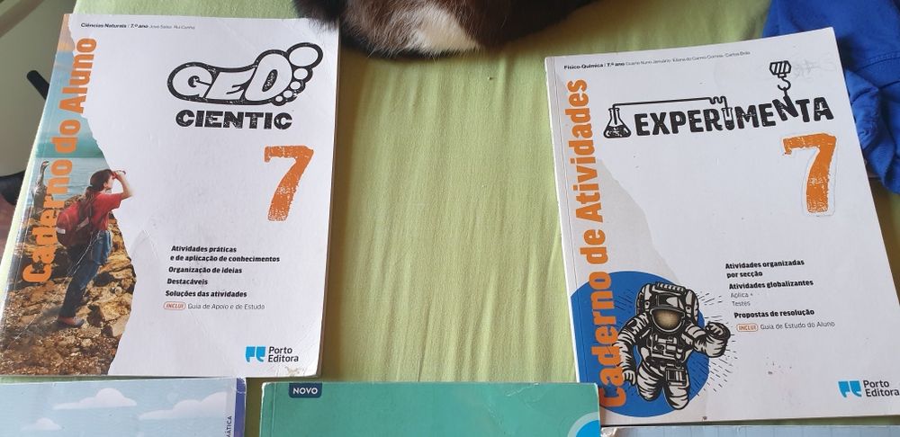 Cadernos de atividades 7⁰ ano