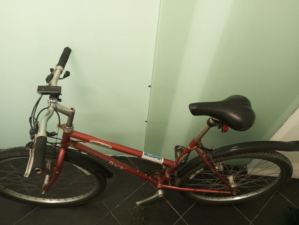 Vendo bicicleta por 180€