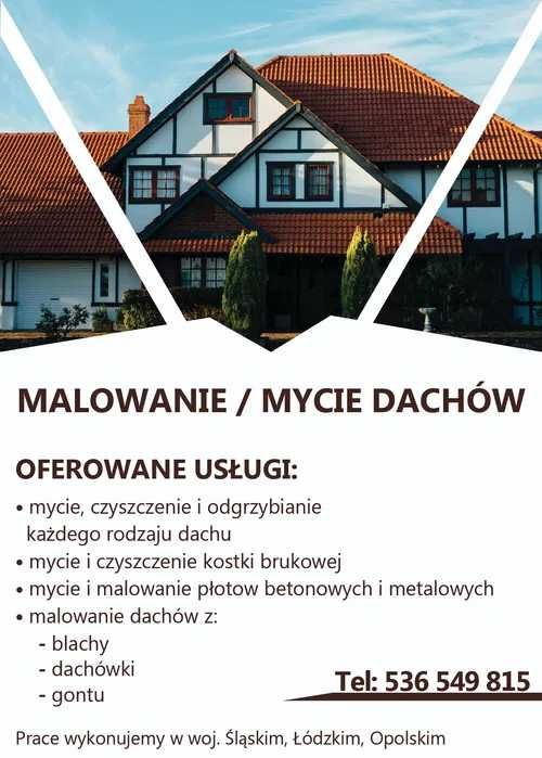 Malowanie dachów płotów mycie kostki Gwarancja DARMOWA WYCENA