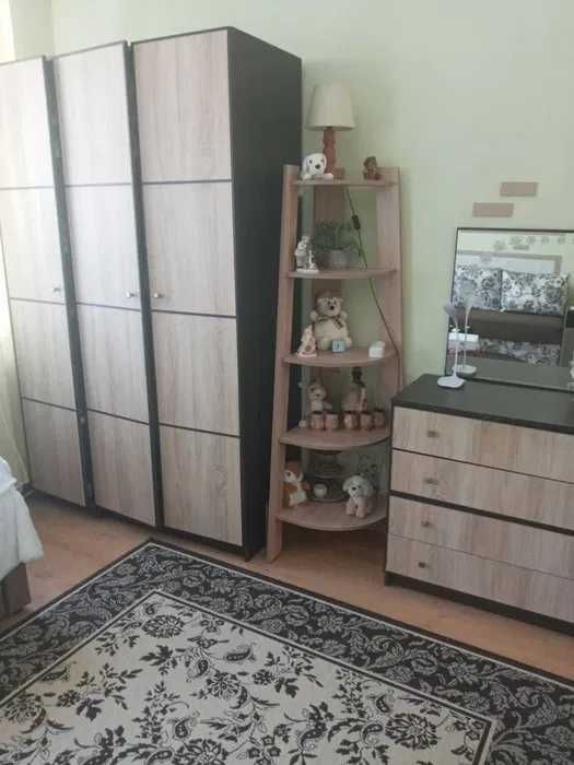 Пропозиція оренди 1 кім квартири по вул Гонти (Оперний Театр) ЦЕНТР