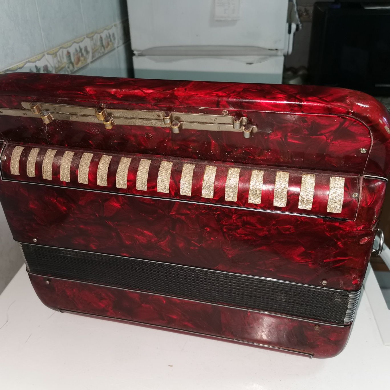 Acordeon Vercellese