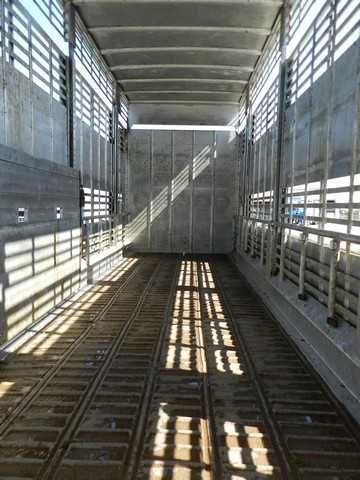 Do zwierzat do Bydla RENAULT T430 05/2016 zabudowa PEZZAIOLI