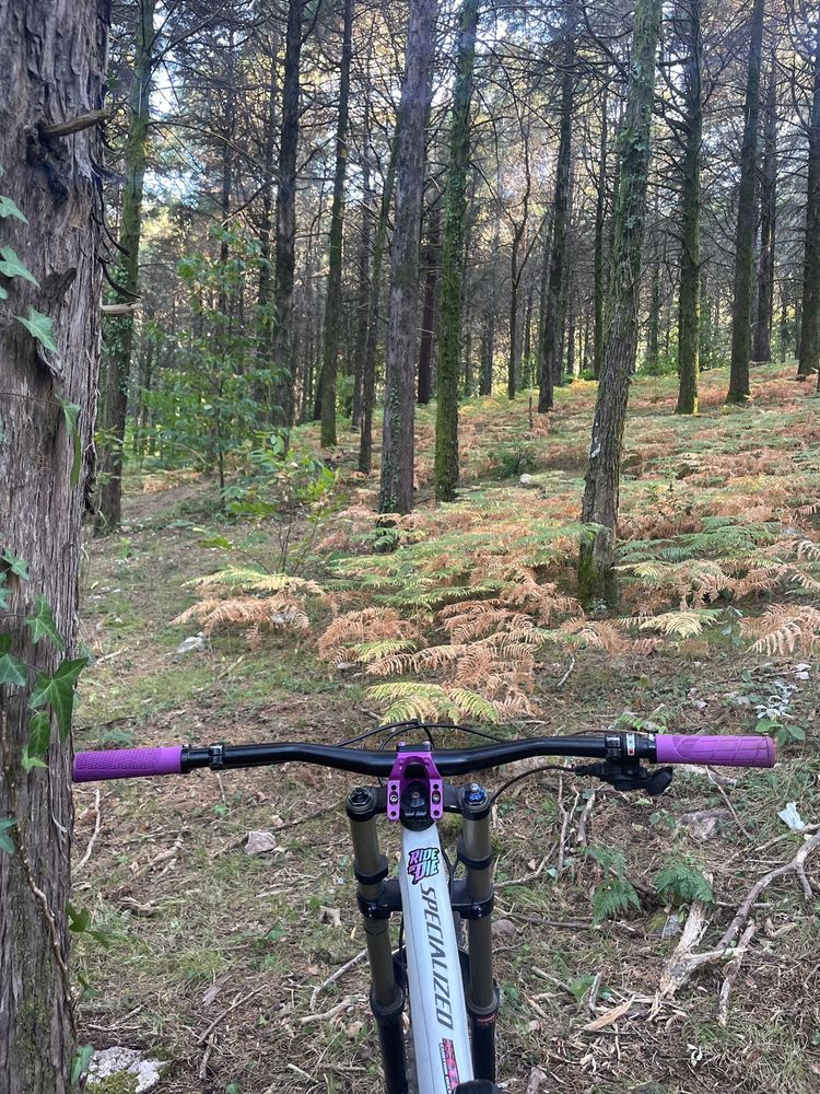 Specialized big hit