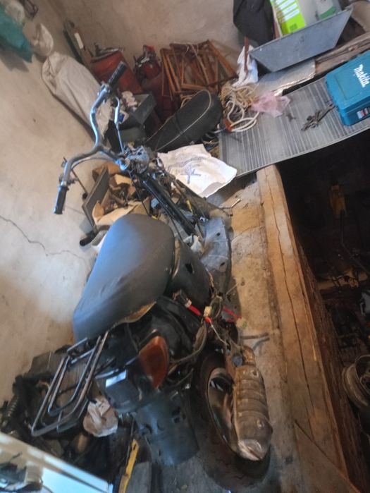 Джог са 12, стант, ТОРГ