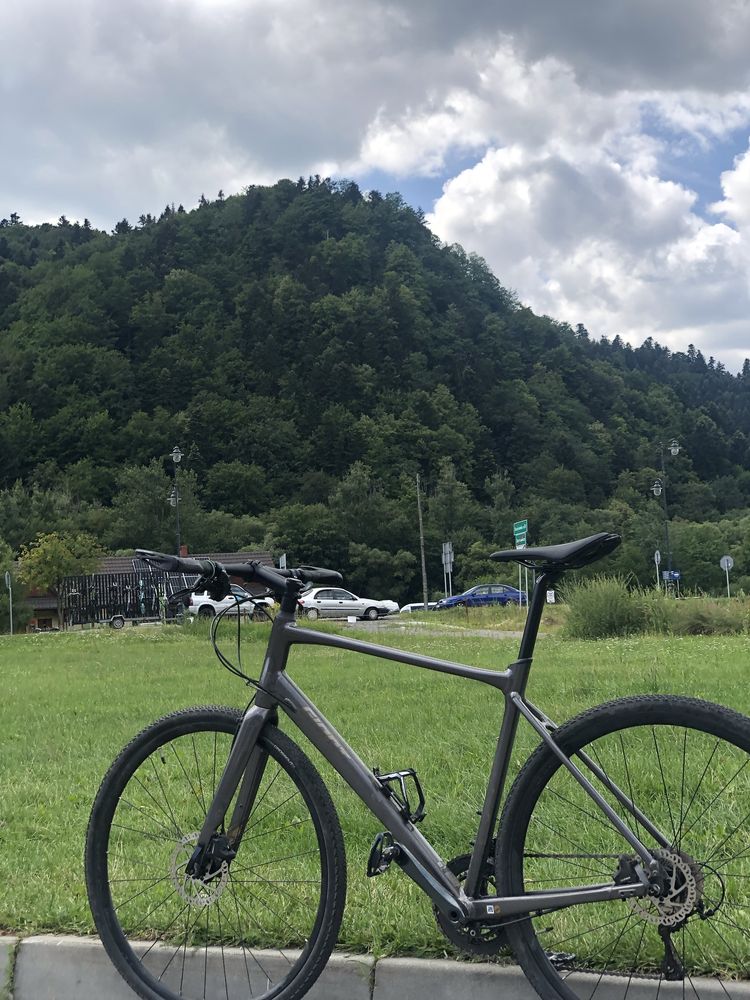 Rower Giant FastRoad SL 2 R21