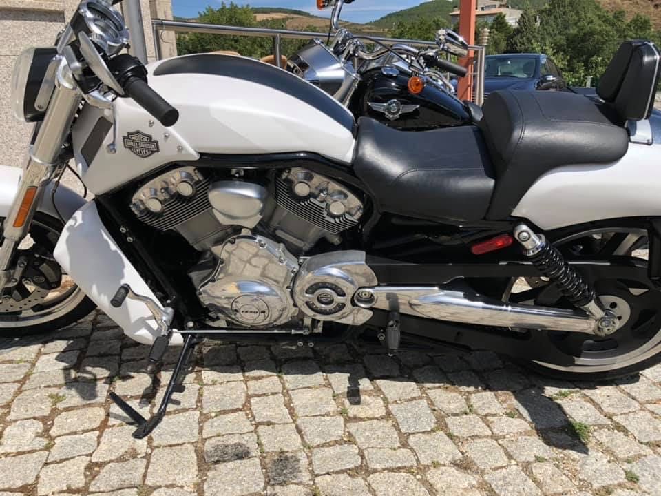 Harley Davidson V Rod MUSCLE