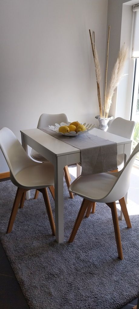 Mesa de jantar + 4 cadeira