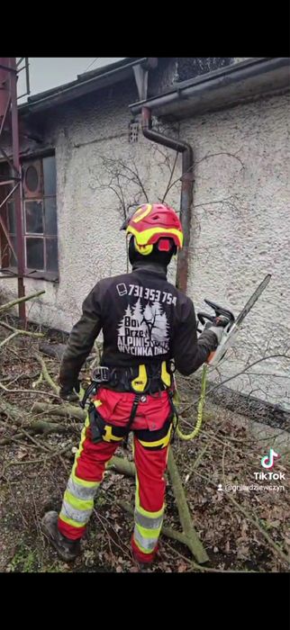 Wycinka alpinistyczna,wycinka drzew, koszenie traw, wycinka drzew