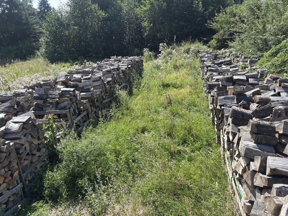 Drewno opałowe/kominkowe Suche drewno buk/grab/dab/brzoza/akacja/sosna