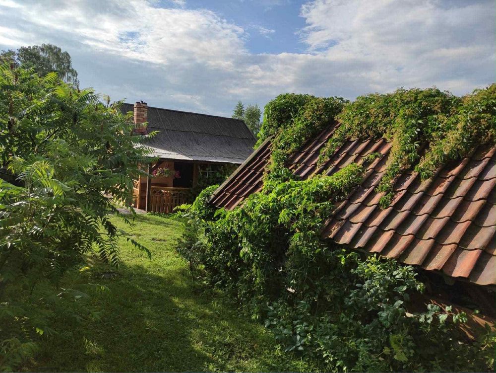 Domek letniskowy nad stawem