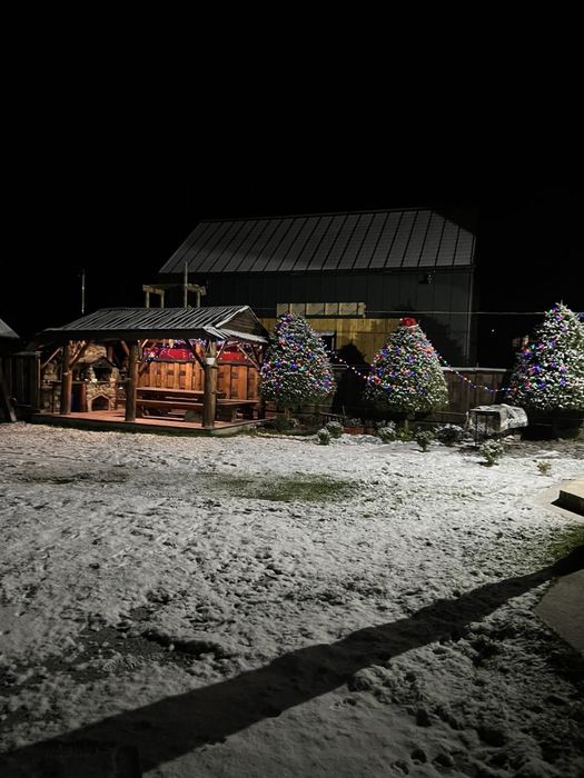 Котедж. Відпочинок а Карпатах.