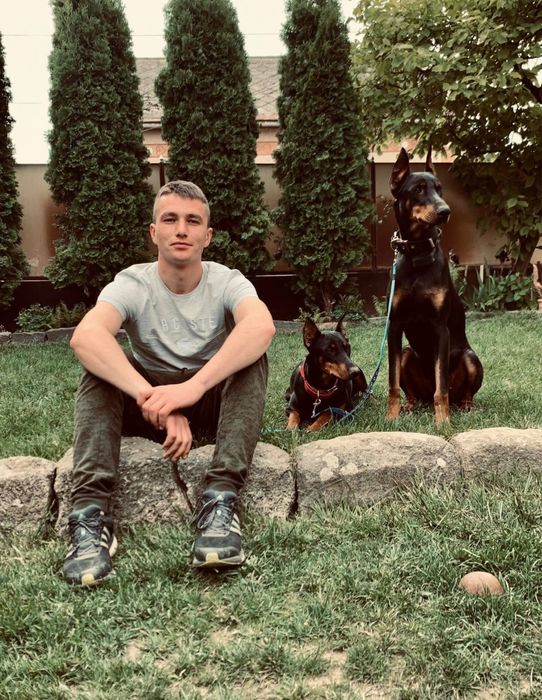 Дресирування собак. Індивідуально та групові заняття. Послуги кінолога