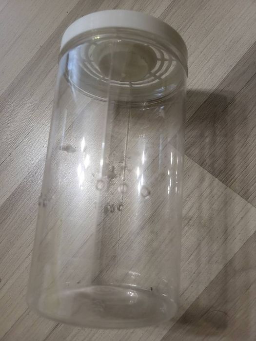 Małe terrarium z tworzywa - WYSYŁKA