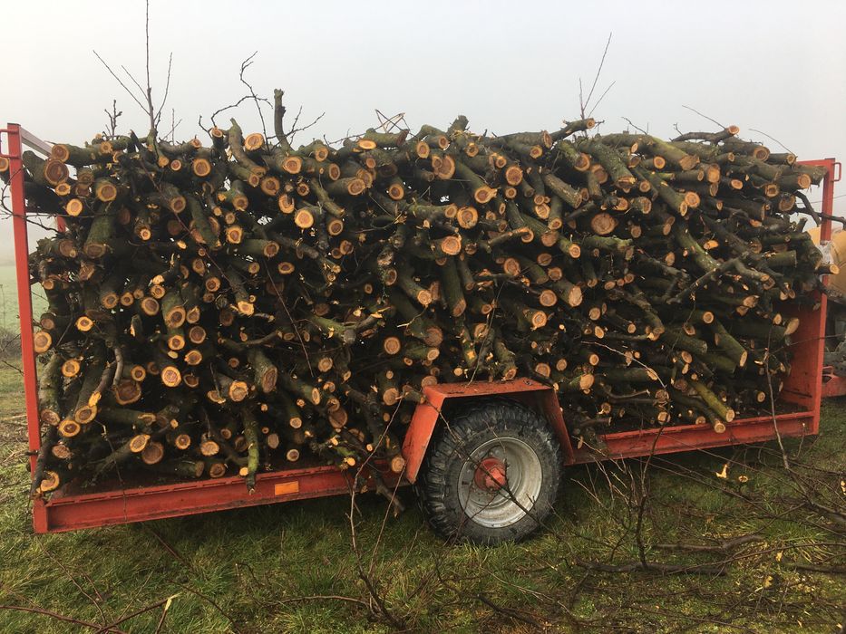 Drewno opałowe , śliwkowe.